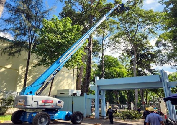 Kinh nghiệm chọn thuê xe nâng người cắt tỉa cây xanh chất lượng cao